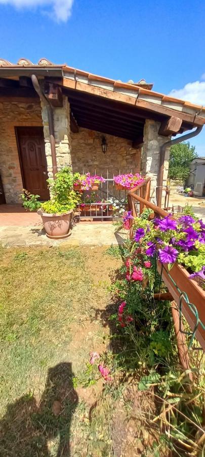 Agriturismo La Casina Saturnia Exteriér fotografie